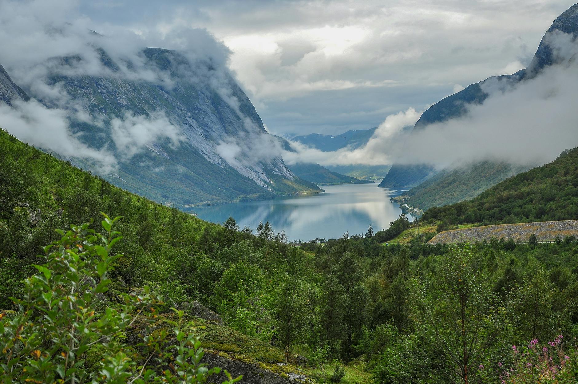 Norvegia